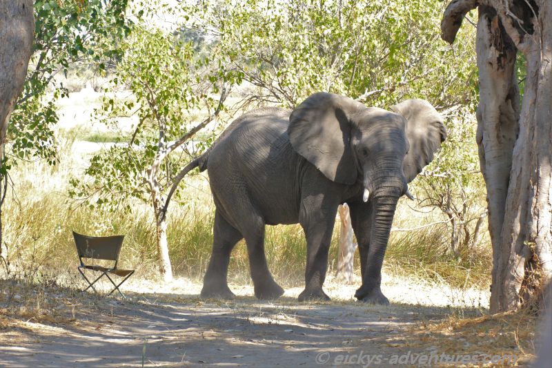 Besuch im Camp Besuch im Camp