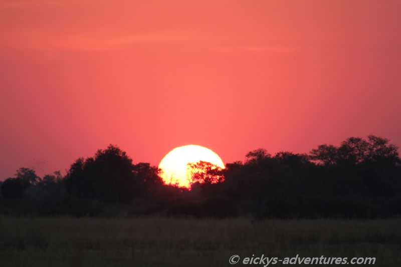 Sonnenuntergang im Moremi Game Reserve Sonnenuntergang im Moremi Game Reserve