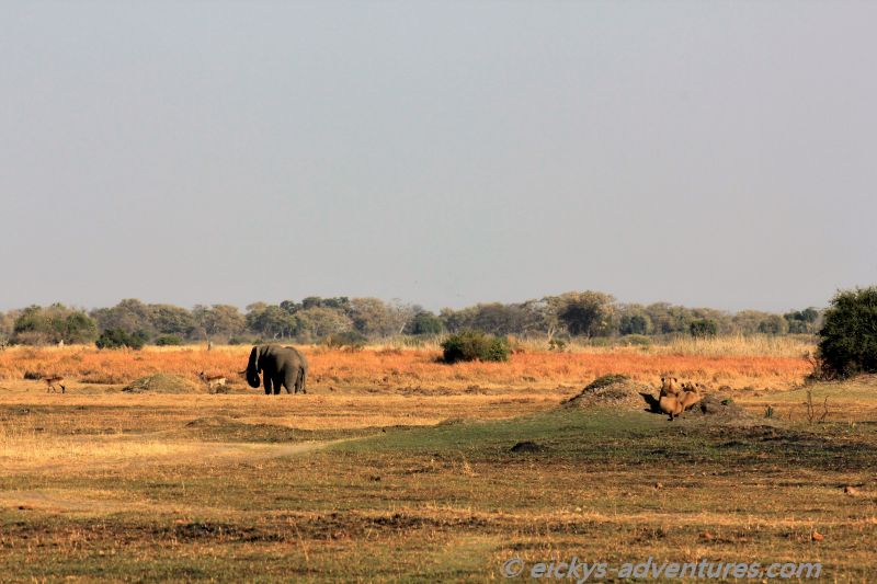 das Essen im Visir das Essen im Visir