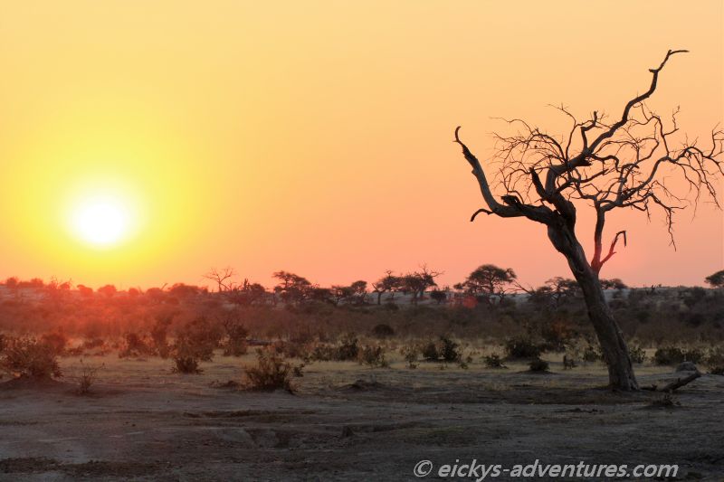 Sonnenuntergang im Chobe Sonnenuntergang im Chobe