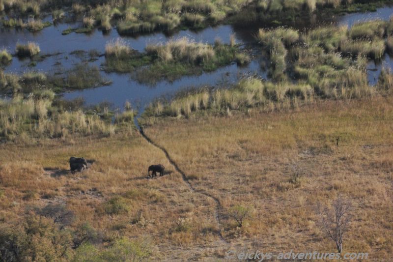 Flug über das Okavango Delta Flug über das Okavango Delta