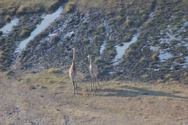 Flug über das Okavango Delta Flug über das Okavango Delta