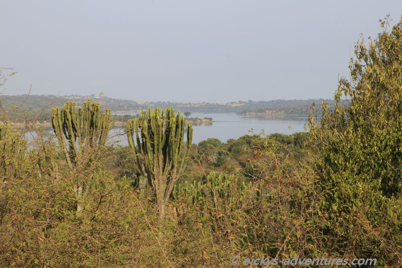 Queen Elisabeth National Park Queen Elisabeth National Park