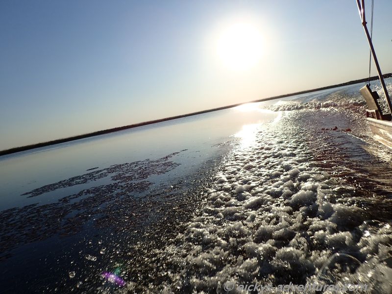 Fahrt durch das Okavango Delta Fahrt durch das Okavango Delta