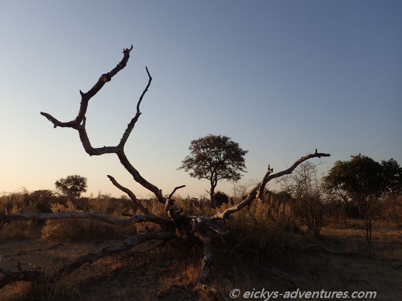 Abendstimmung im Okavango Delta Abendstimmung im Okavango Delta