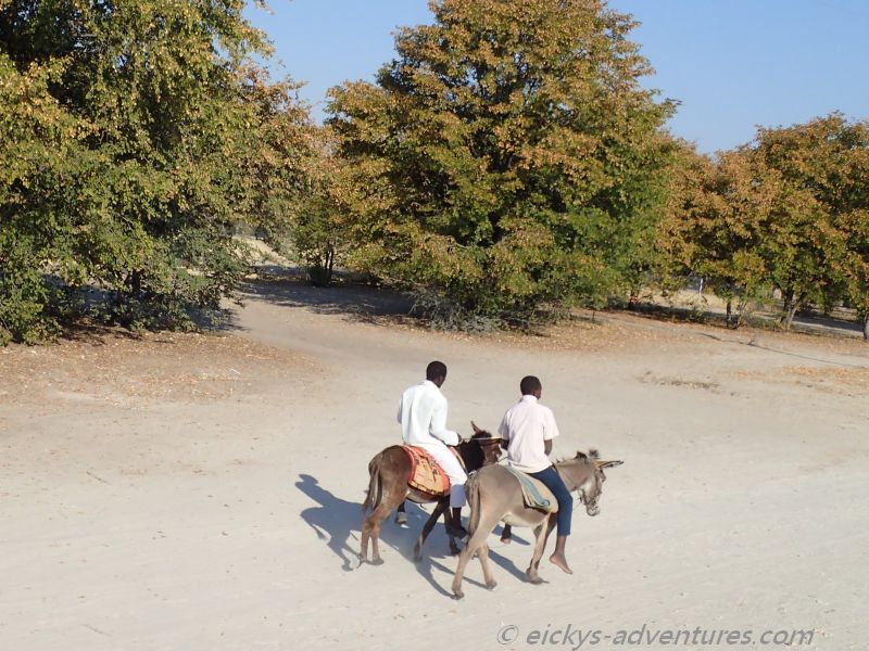 Esel als Fortbewegungsmittel Esel als Fortbewegungsmittel
