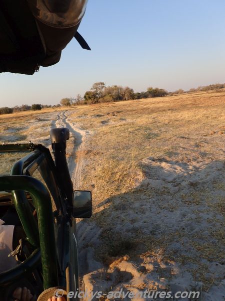 im Moremi Game Reserve im Moremi Game Reserve