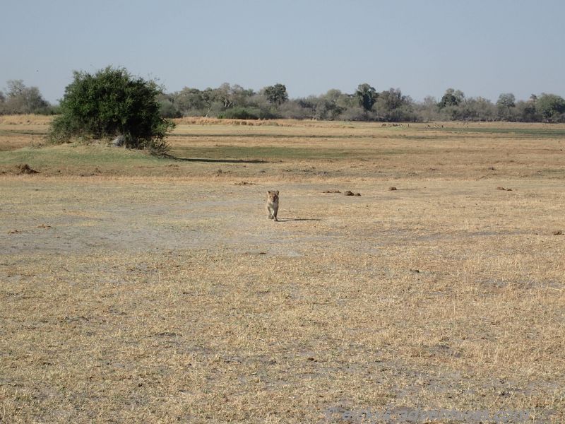 Wer kommt in meine Arme? Wer kommt in meine Arme?