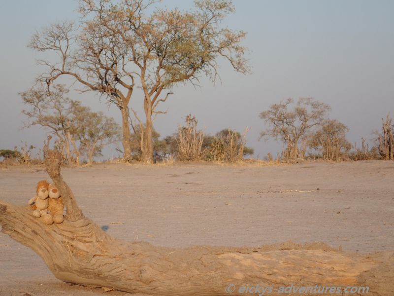 Heini und Alex genießen den Sonnenuntergang Heini und Alex genießen den Sonnenuntergang