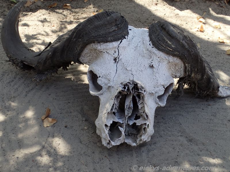 Chobe Nationalpark Chobe Nationalpark