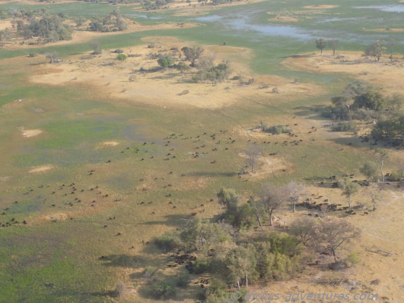 Flug über das Okavango Delta Flug über das Okavango Delta