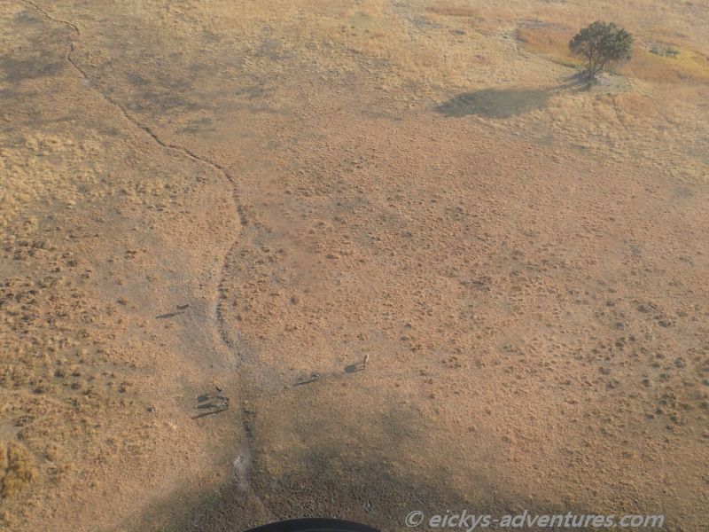 Flug über das Okavango Delta Flug über das Okavango Delta
