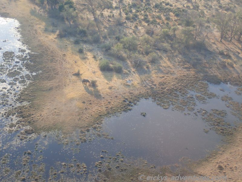 Flug über das Okavango Delta Flug über das Okavango Delta