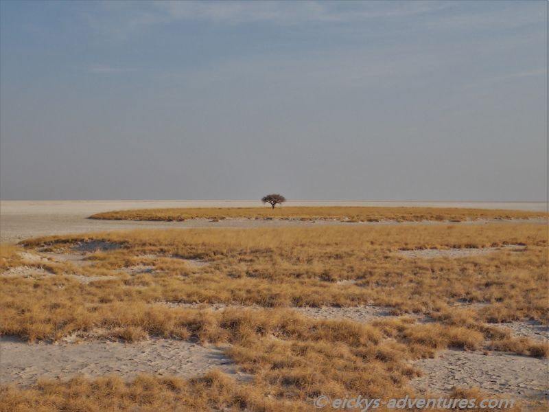 One Tree Island in der Makgadikgadi Salzpfanne One Tree Island in der Makgadikgadi Salzpfanne