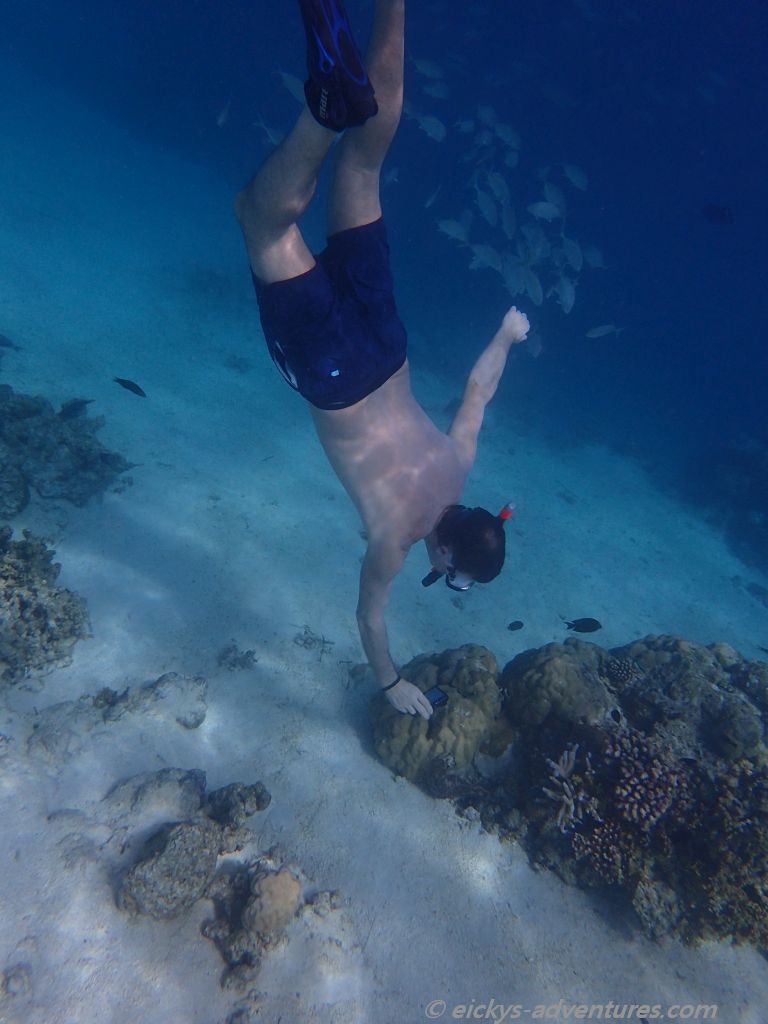 Unterwasserwelt am Adaaran Rannalhi Resort Unterwasserwelt am Adaaran Rannalhi Resort