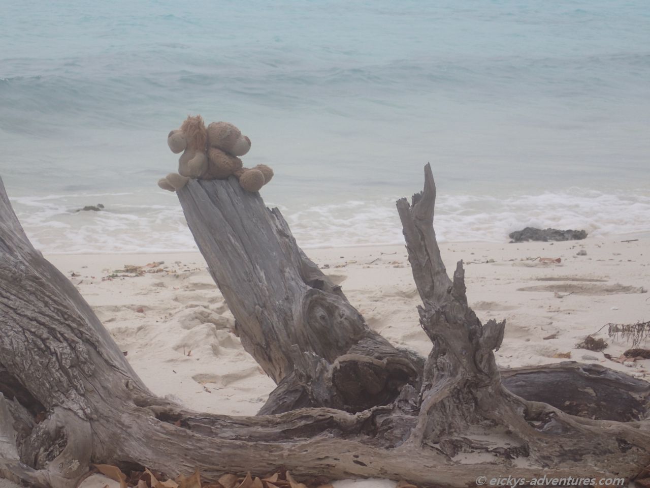 Fotosession mit Heini und Alex auf der Picknickinsel Anbaraa Fotosession mit Heini und Alex auf der Picknickinsel Anbaraa
