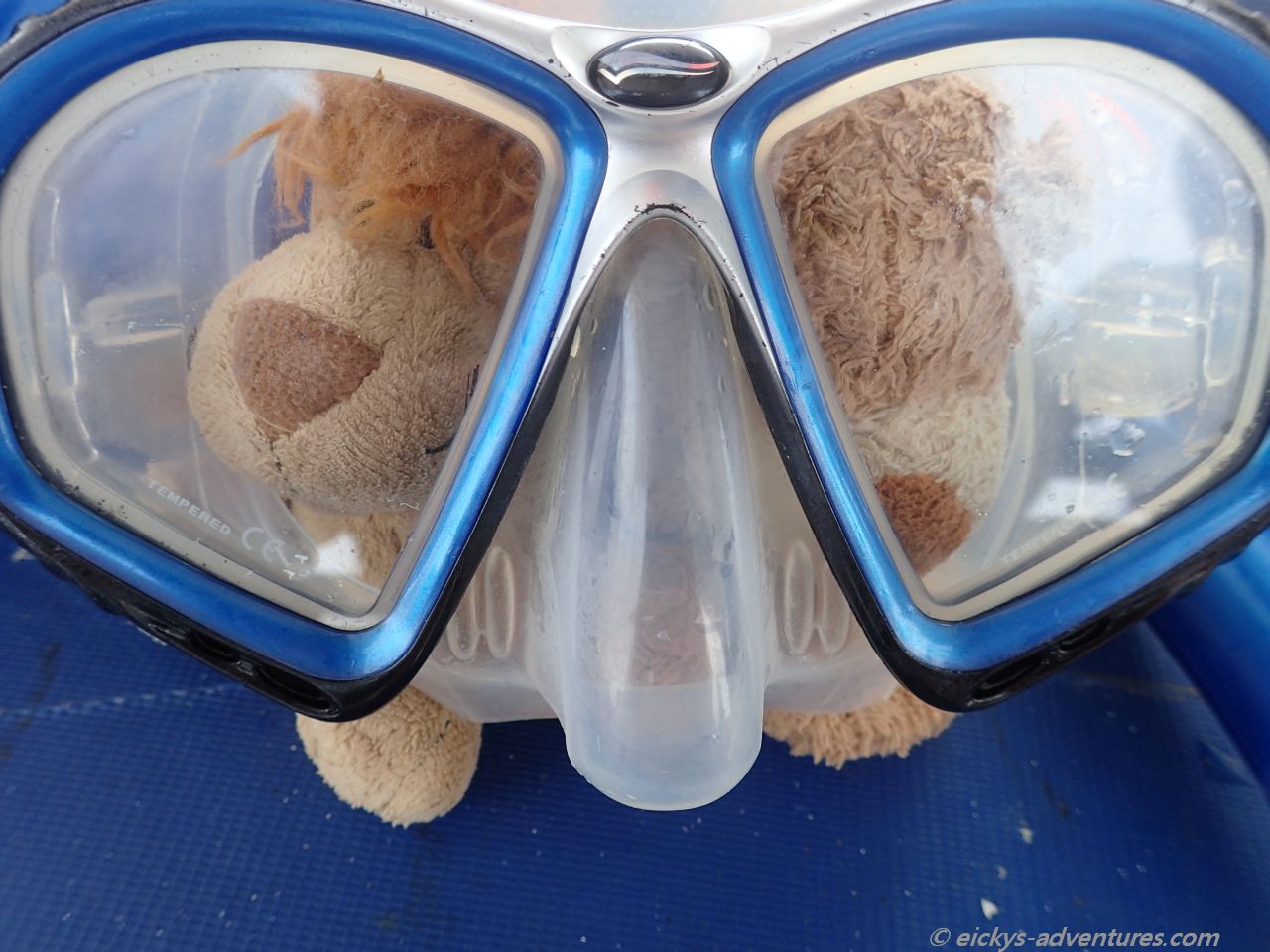 Alex und Heini: Voll der Durchblick Alex und Heini: Voll der Durchblick