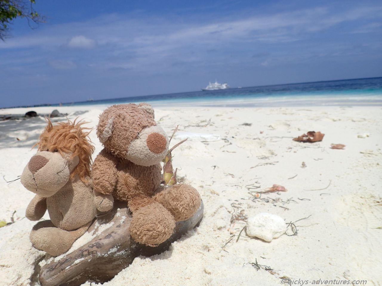 Alex und Heini auf der Insel Ariadhoo Alex und Heini auf der Insel Ariadhoo