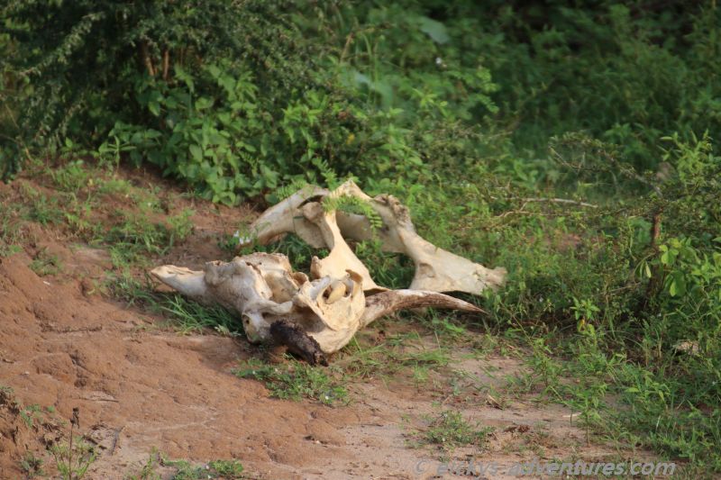 Was war das mal? Was war das mal?