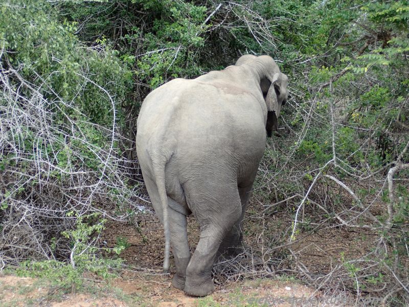 ein schöner Rücken ... ein schöner Rücken ...