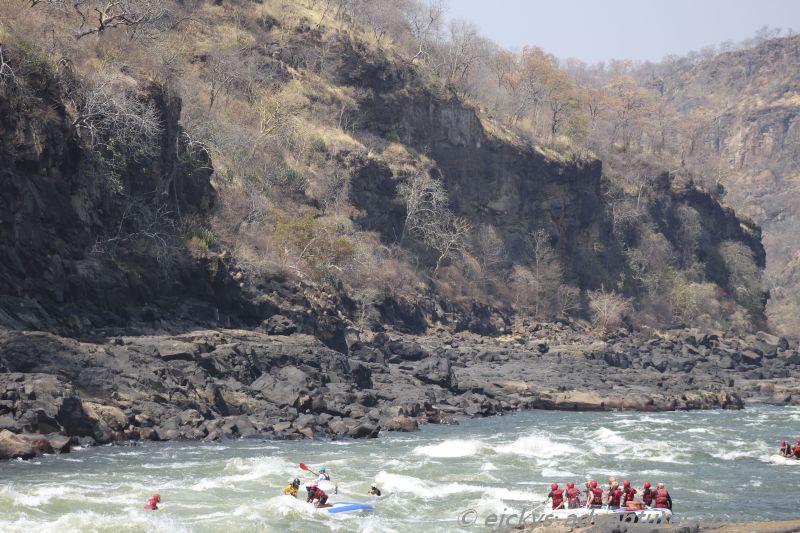 Rettungsaktion Rettungsaktion