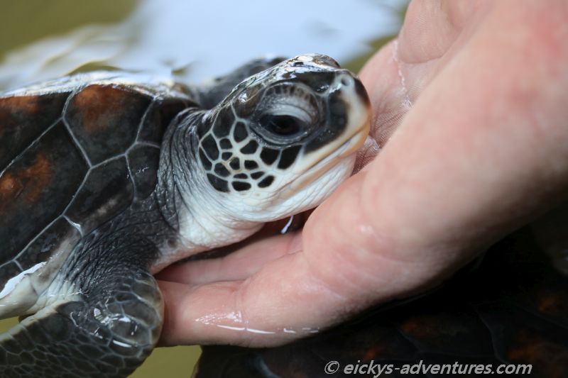 endlich ausruhen auf der Hand endlich ausruhen auf der Hand