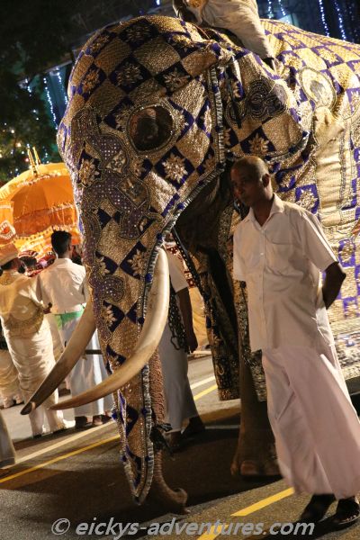 Parade zum Februar-Vollmondfest Parade zum Februar-Vollmondfest