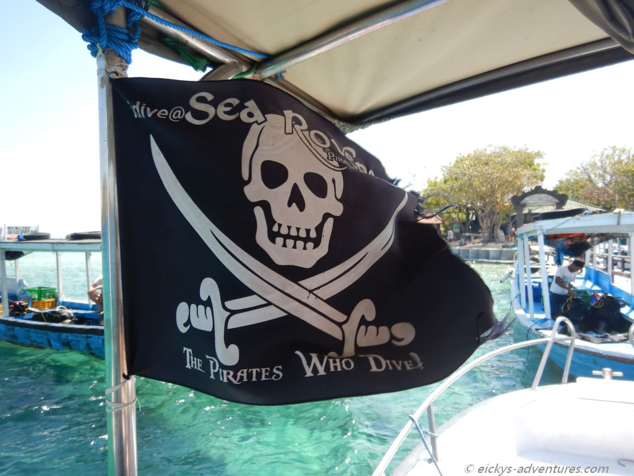 Sea Rovers Sea Rovers