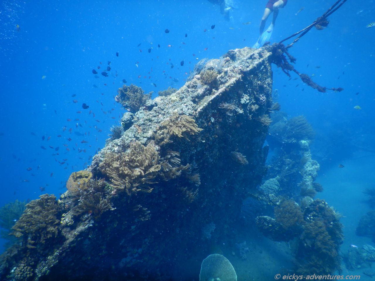 Unterwasserwelt am Japanese Shipwreck Unterwasserwelt am Japanese Shipwreck