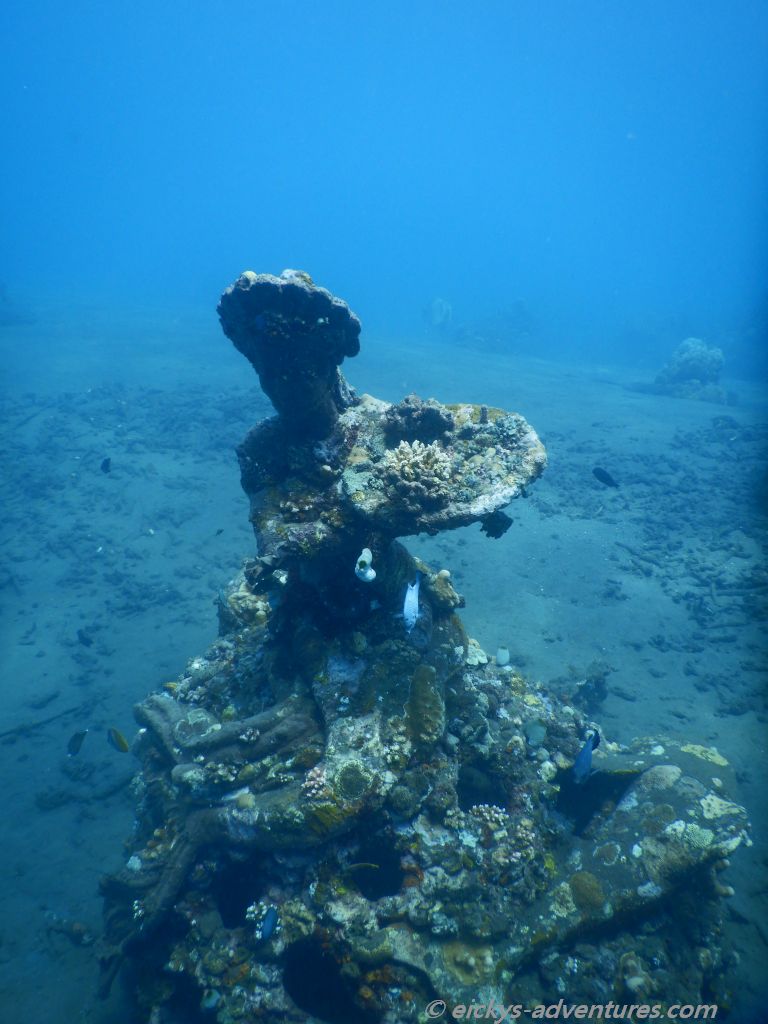 Unterwasserwelt in der Jemeluk Bucht Unterwasserwelt in der Jemeluk Bucht