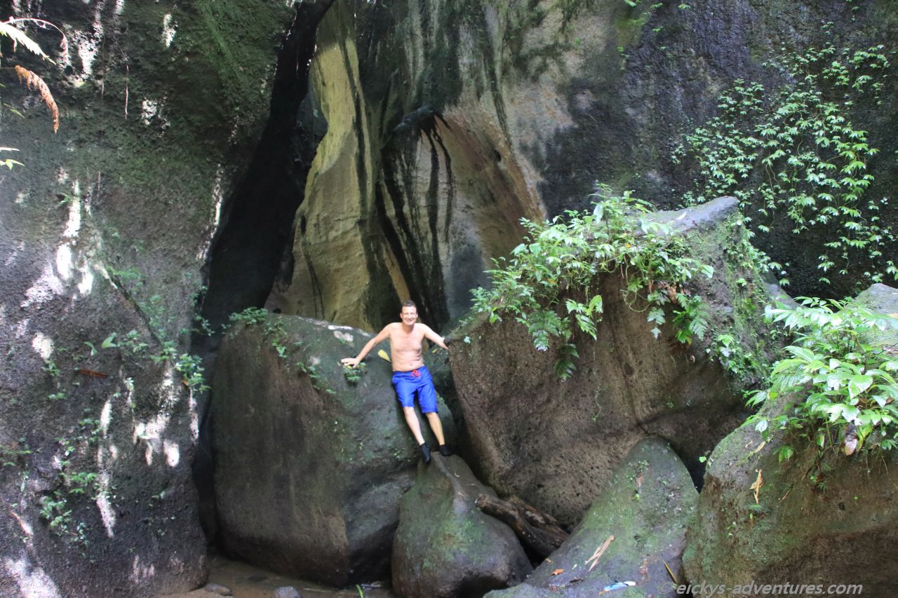 Äffchen am Wasserfall Tukad Cepung Äffchen am Wasserfall Tukad Cepung
