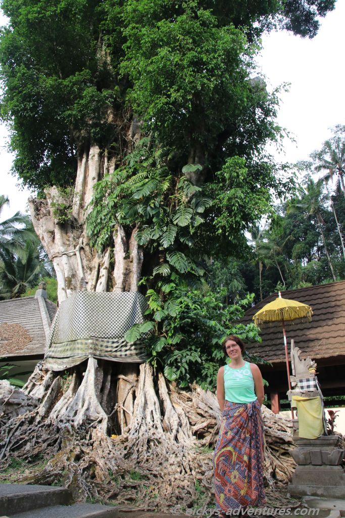 Pura Tirta Empul Pura Tirta Empul