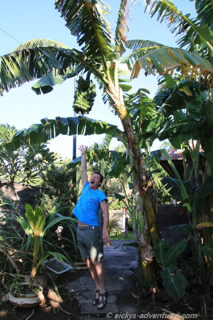 Seit wann isst er Bananen? Seit wann isst er Bananen?