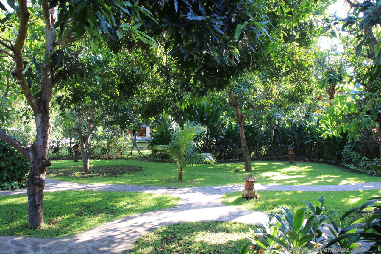 Mango Tree Inn Garten Mango Tree Inn Garten