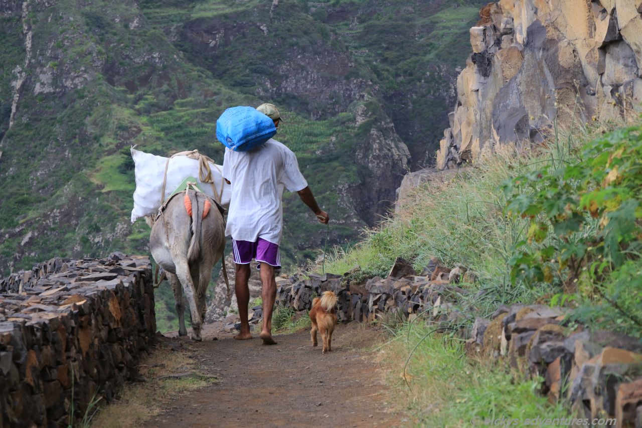 Transporte werden zu Fuß erledigt Transporte werden zu Fuß erledigt