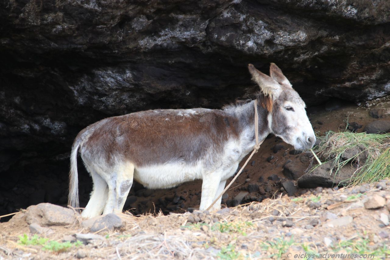 zwischen Forminguinhas und Aranhas zwischen Forminguinhas und Aranhas