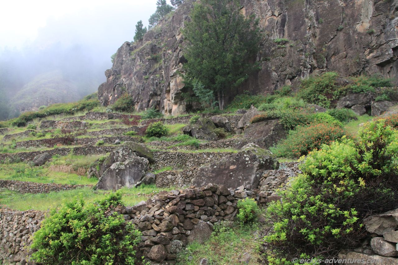 im Cova Krater im Cova Krater