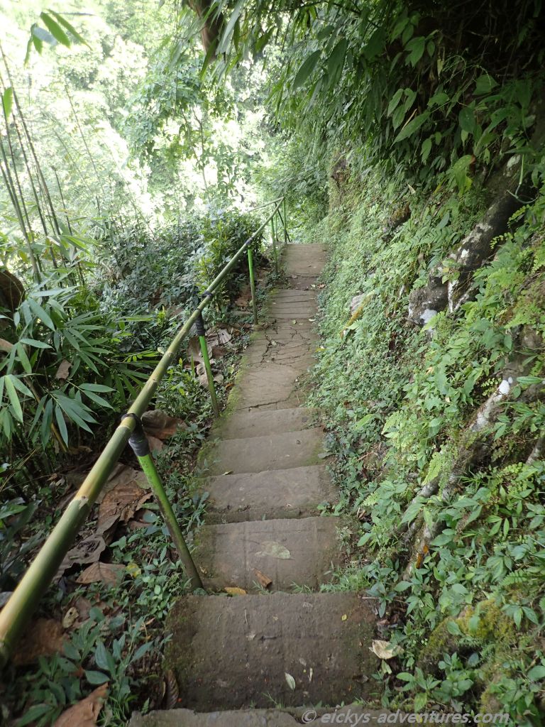auf dem Weg zu dem Sekumpul Wasserfall auf dem Weg zu dem Sekumpul Wasserfall