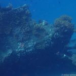 Unterwasserwelt am Japanese Shipwreck