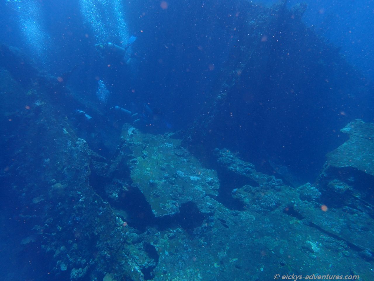 Unterwasserwelt an der USS Liberty in Tulamben Unterwasserwelt an der USS Liberty in Tulamben