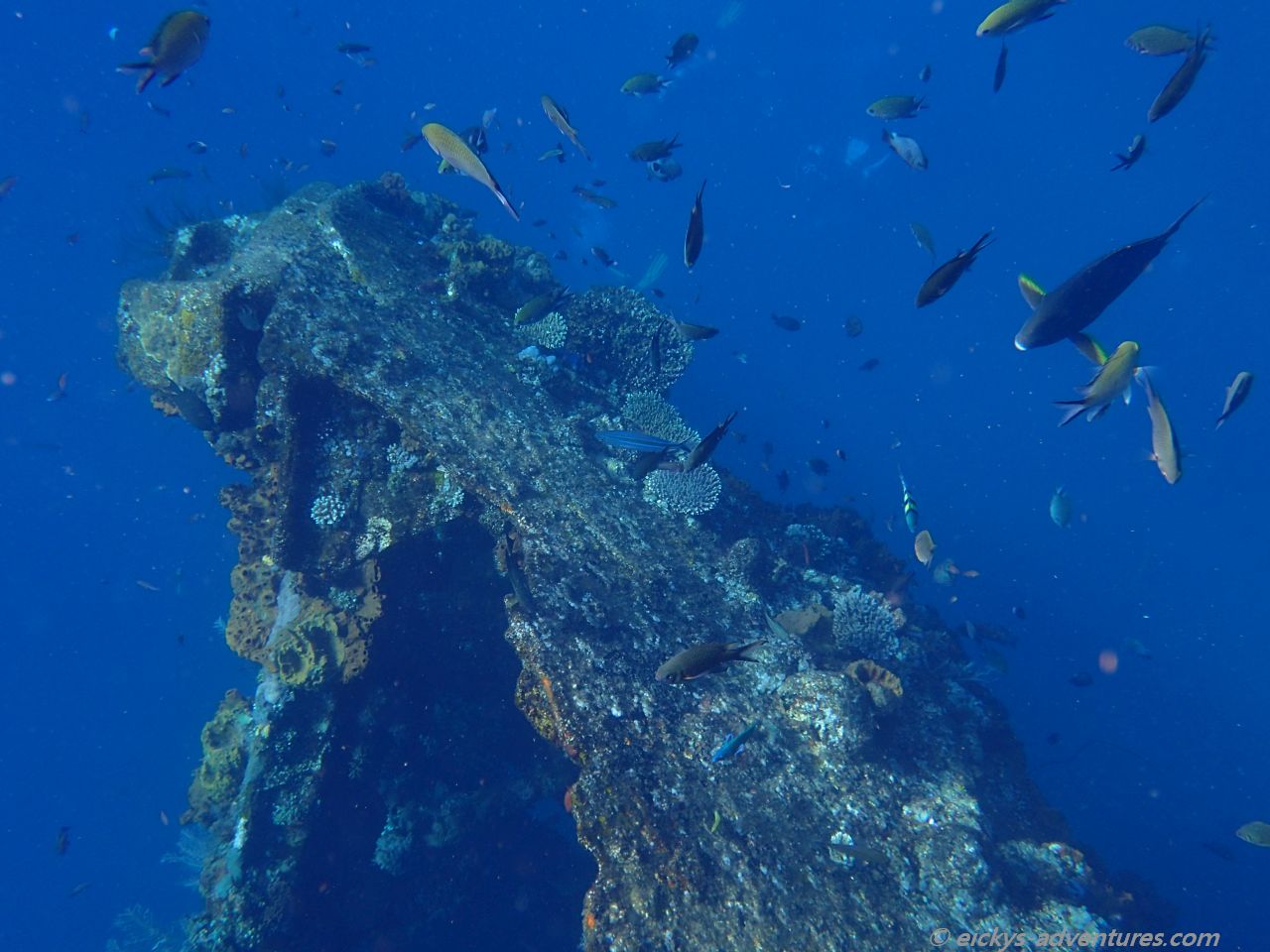 Unterwasserwelt an der USS Liberty in Tulamben Unterwasserwelt an der USS Liberty in Tulamben