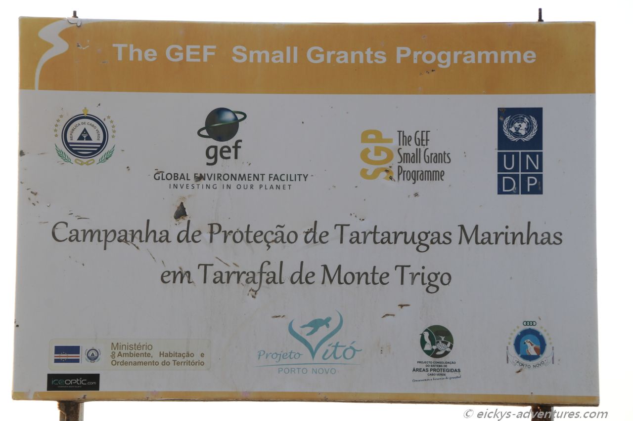 Schutz der Meeresschildkröten Schutz der Meeresschildkröten