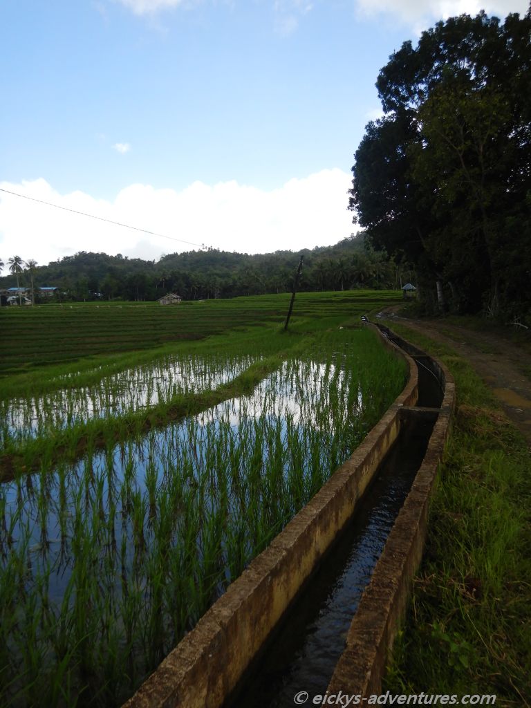 Cadapdapan Rice Terraces Cadapdapan Rice Terraces