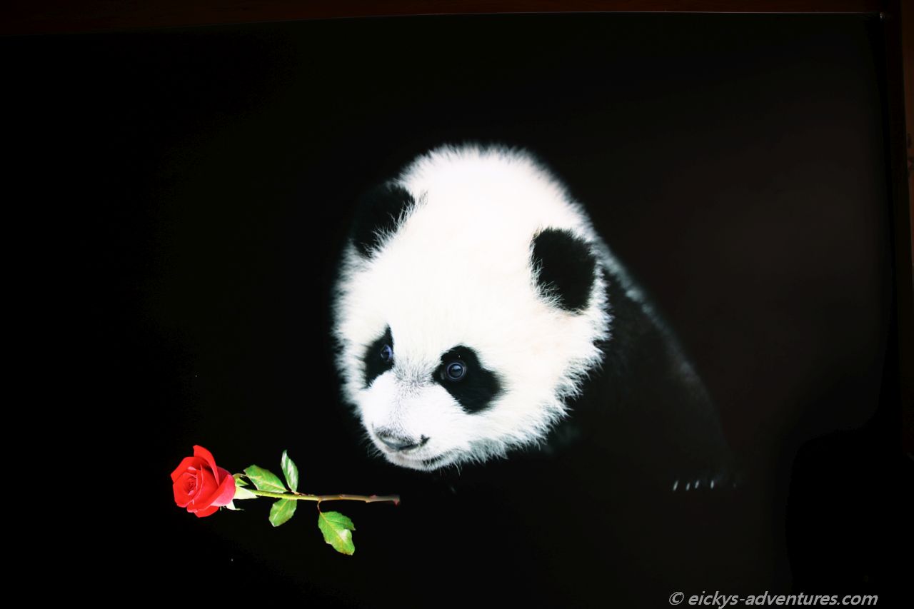 Panda Research Center Panda Research Center