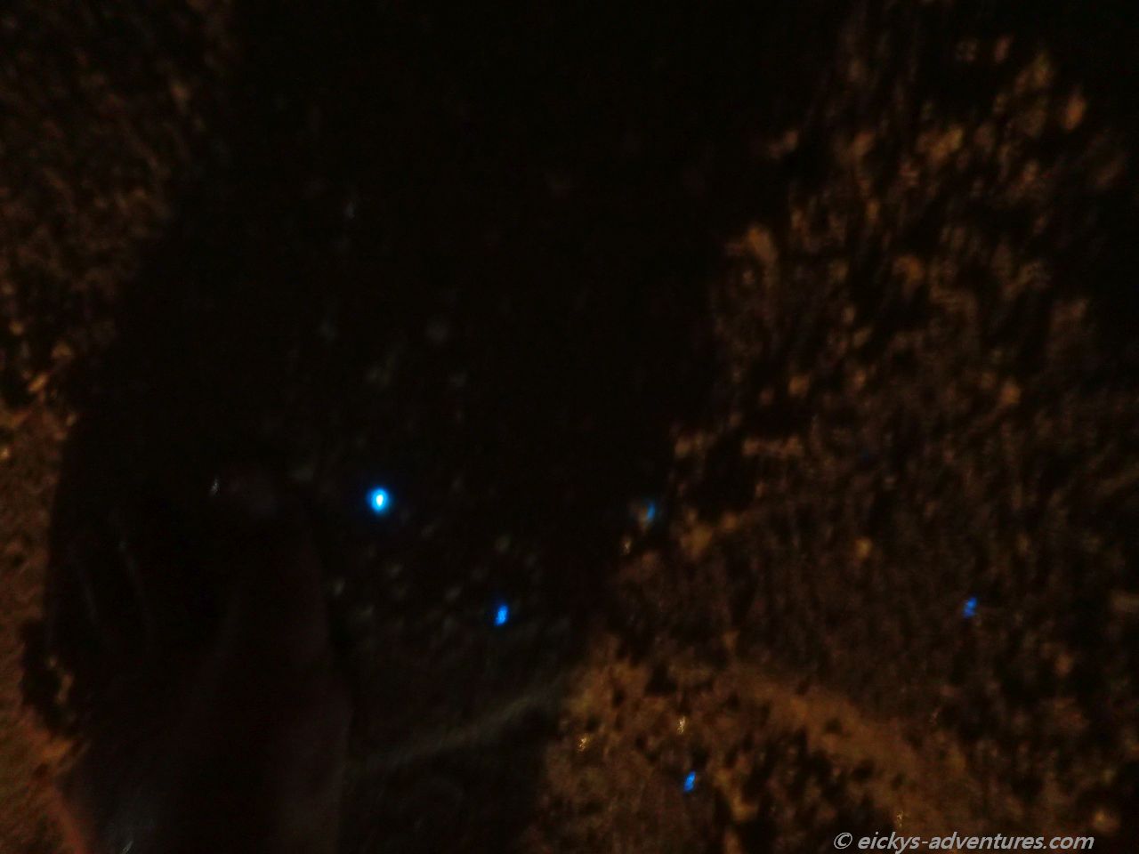 Biolumineszenz - Meeresleuchten Biolumineszenz - Meeresleuchten