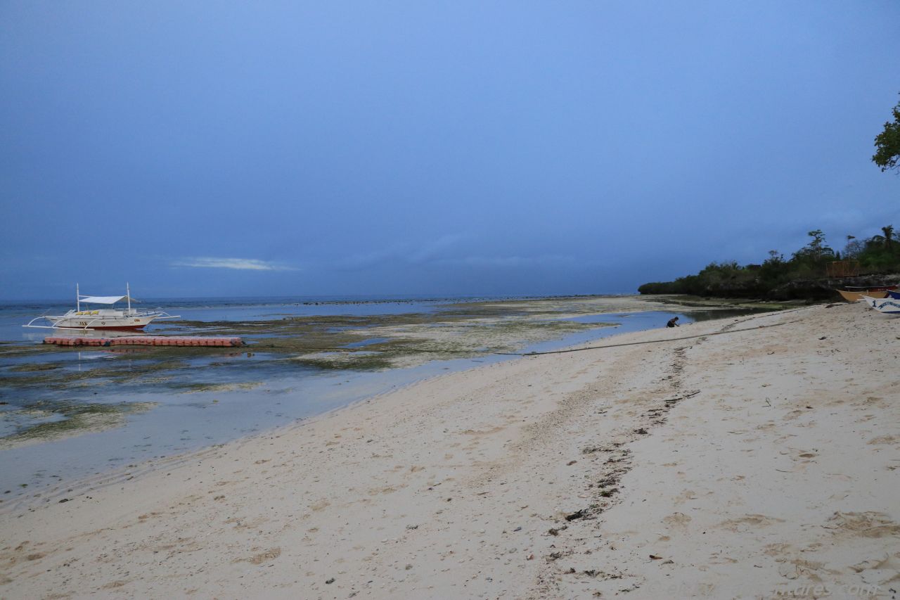 Strand in Pamilacan Strand in Pamilacan