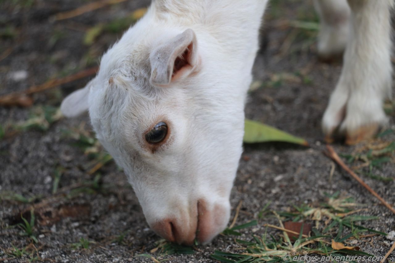 Impressionen Pamilacan Impressionen Pamilacan