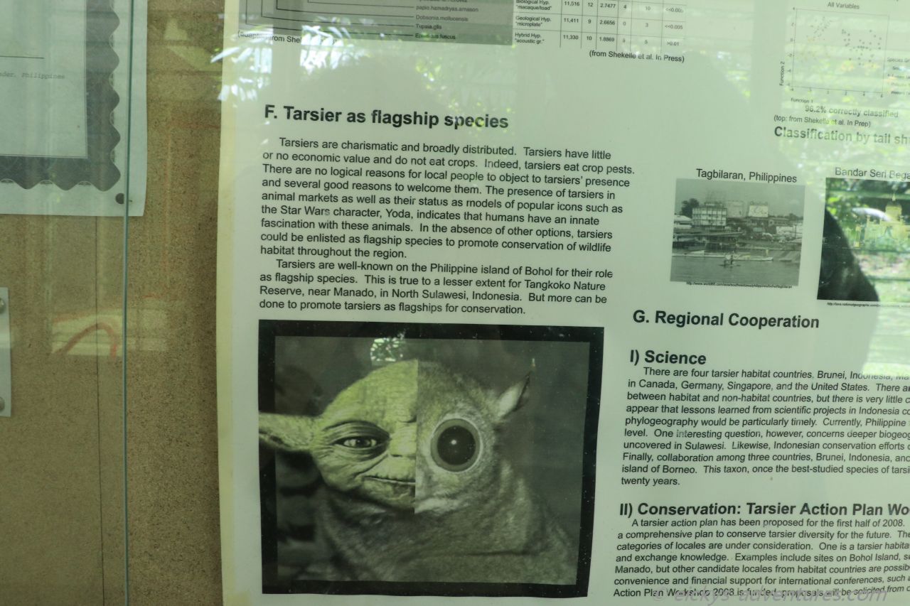 Möge die Macht mit dir sein! Möge die Macht mit dir sein!