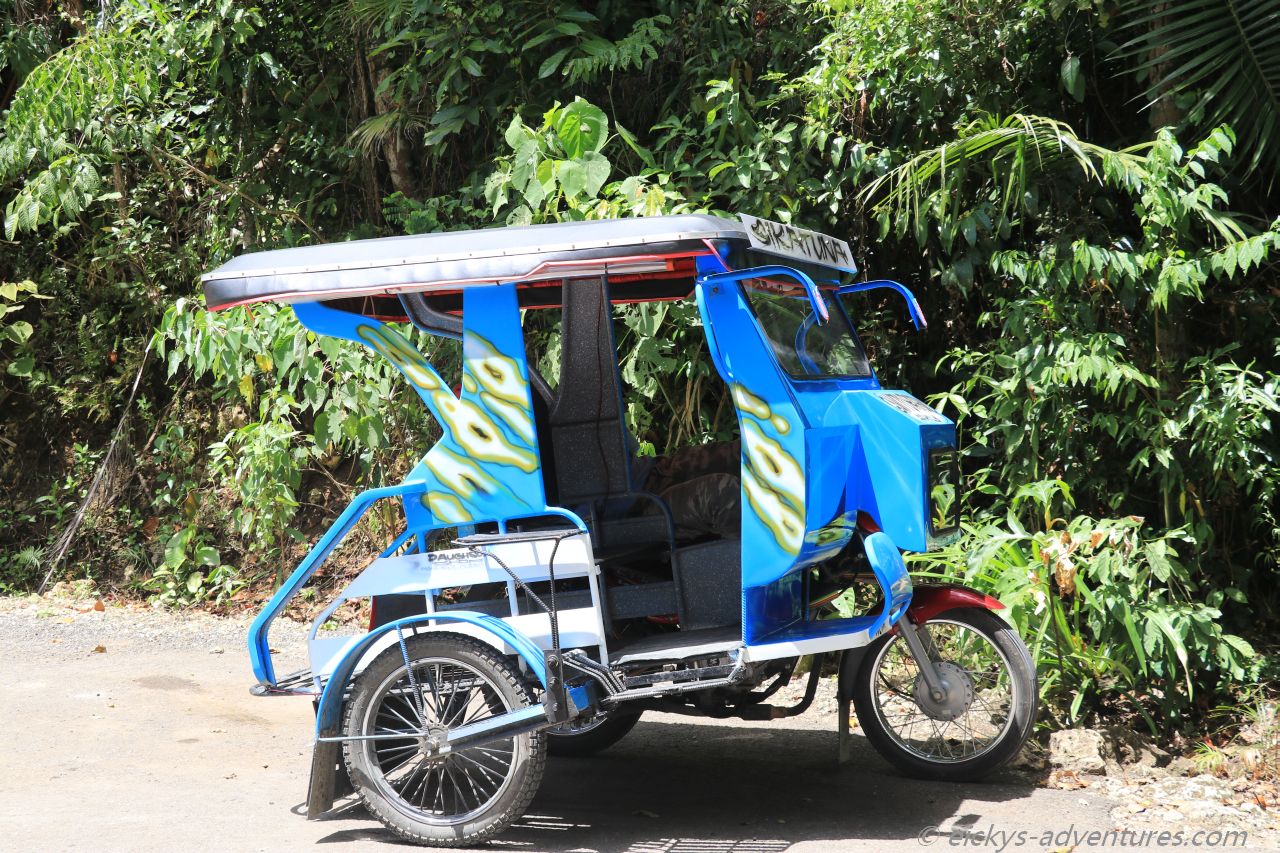 2020 Philippinen Tarsier and Wildlife Sanctuary