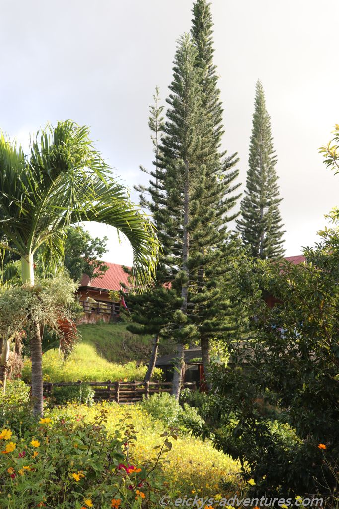 Sagbayan Peak Sagbayan Peak
